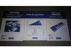 Korg Pa500 (10603)