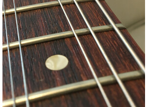 Gibson Firebird V (4300)