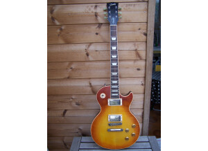 Gibson Les Paul Standard Faded 60' Neck
