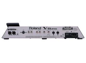 Roland V-Bass (66664)