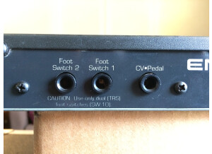 Ensoniq DP2 (289)
