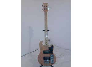 Shergold Modulator Bass