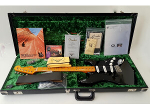 Fender Custom Shop David Gilmour Signature Stratocaster NOS (33343)