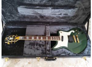 D'angelico Deluxe Bedford (80078)