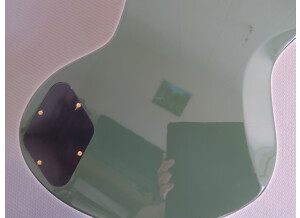 D'angelico Deluxe Bedford (75655)