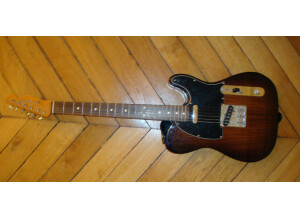 Fender [Factory Special Run Edition Series] '60 Rosewood Standard Telecaster
