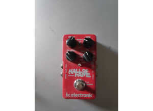 TC Electronic Hall of Fame Reverb (56951)