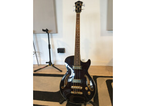 Ibanez AGB200