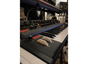 Moog Music Matriarch (41505)