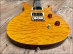 PRS SE 25th Anniversary Custom 24