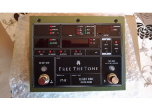 Free The Tone Flight Time Digital Delay FT-1Y (50256)