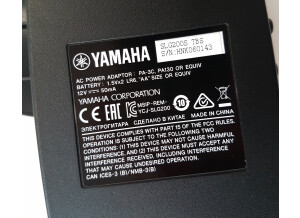 Yamaha SLG200S (72228)