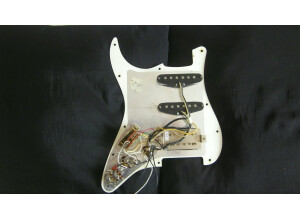 Fender Hot Rodded American Lone Star Stratocaster (48811)