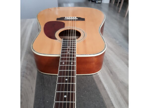 Tennessee Guitars D 18