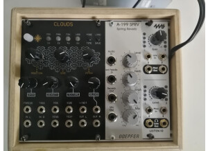 Mutable Instruments Clouds (8767)