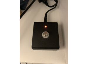 Friedman Amplification JJ Junior Jerry Cantrell Signature (13489)