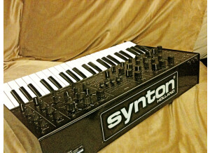 Synton syrinx (94836)