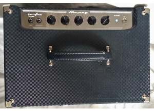 Ampeg B-50R (8706)