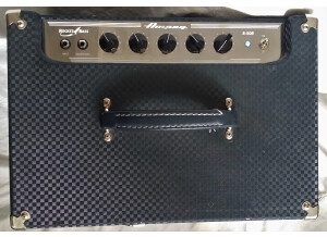 Ampeg B-50R (8706)