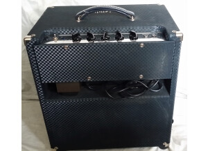 Ampeg B-50R (784)