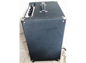 Ampeg B-50R (6146)
