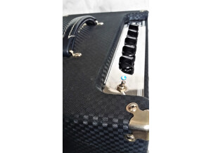 Ampeg B-50R (24582)