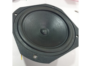 JMlab DB 19 (14244)