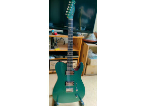 Harley Benton Fusion-T HH HT EB (87257)