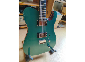 Harley Benton Fusion-T HH HT EB (83729)