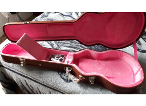 Epiphone 940-ENLPCS - Les Paul Case (44877)