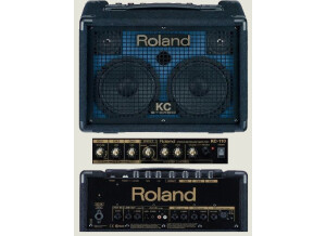 Roland [KC Series] KC-110