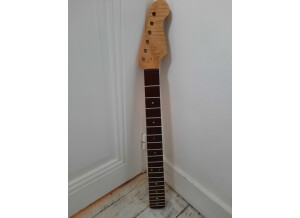 Fender Telecaster & Stratocaster Neck / Manche (47835)