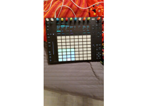 Ableton Push 2 (62176)