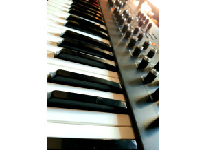 Sequential Prophet X (87903)