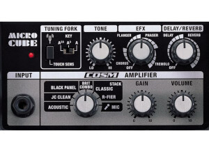 Roland Micro Cube (75222)