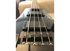 Steinberger Spirit XT-2DB