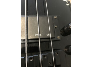 A5B69F94-0A8F-4A6B-AFF0-A231B745E837