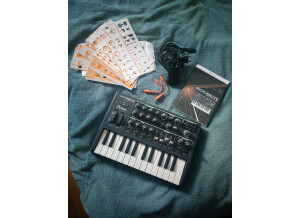 Arturia MicroBrute (44201)
