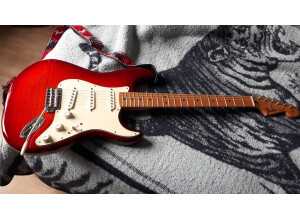 Fender Standard Stratocaster Plus Top (32540)