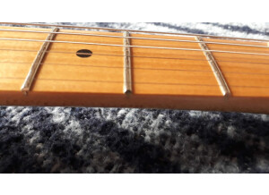 Fender Standard Stratocaster Plus Top (98919)