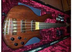 Noguera Expression 4 Cordes