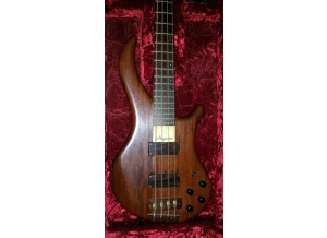 Noguera Expression 4 Cordes