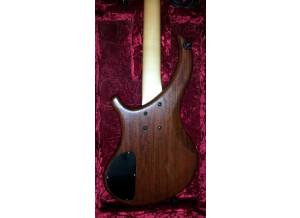 Noguera Expression 4 Cordes