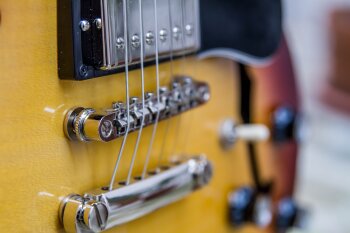 ES335Figured-4 ES335Figured-4