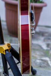 ES335Figured-19 ES335Figured-19