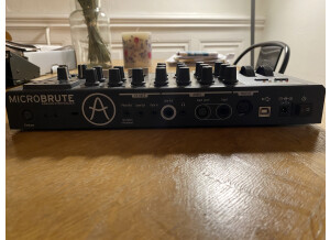 Arturia MicroBrute (1396)