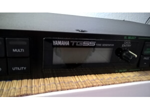 Yamaha TG55 (6285)
