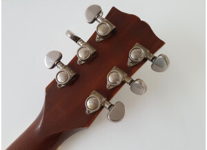 Gibson ES-335 Dot Figured Gloss (53738)