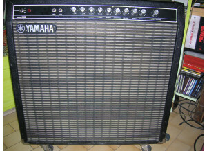 Yamaha G410