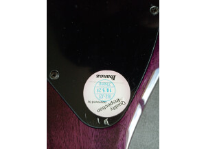 PRS SE Singlecut (30852)